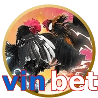 vinbet